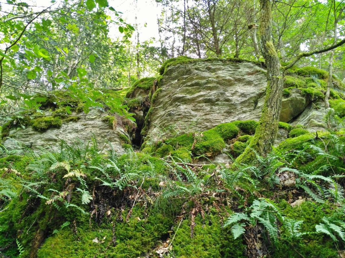 Fewo Well Gladenbach Luaran gambar